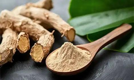 Benefits of Kava Extract in Stress Relief Products